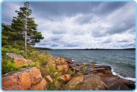 This rocky shore in Killbear Provincial Park in Ontario shows the effect of glacial erosion on the Canadian Shield.