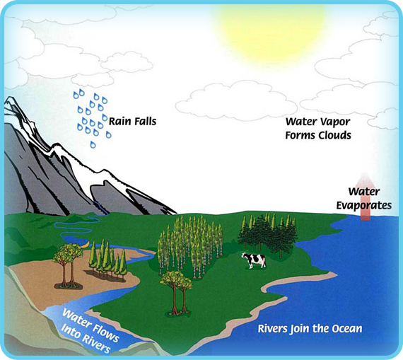 Rainy Weather - PowerKnowledge Earth & Space Science